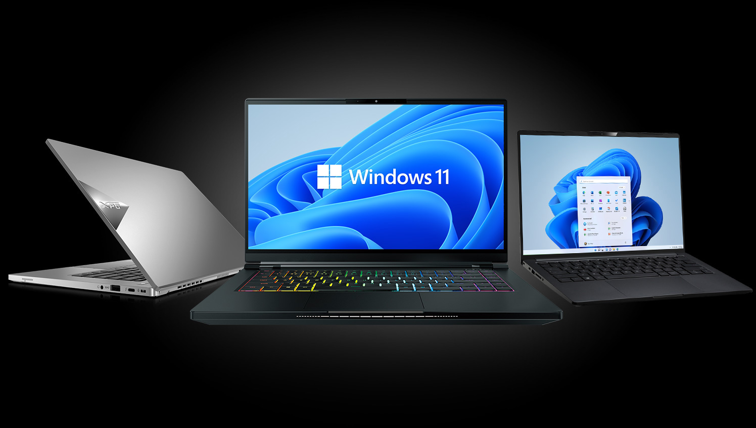 Windows 11